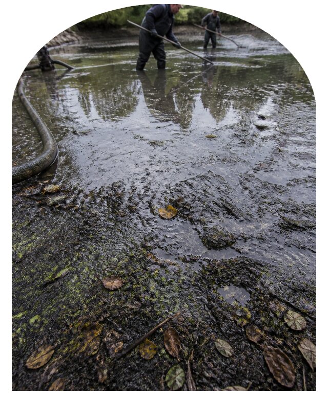Очистка пруда в Нальчике от ила мусора и водорослей с вывозом